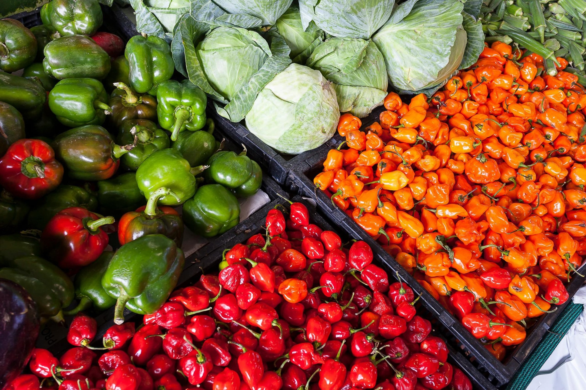 Agro-Tourism