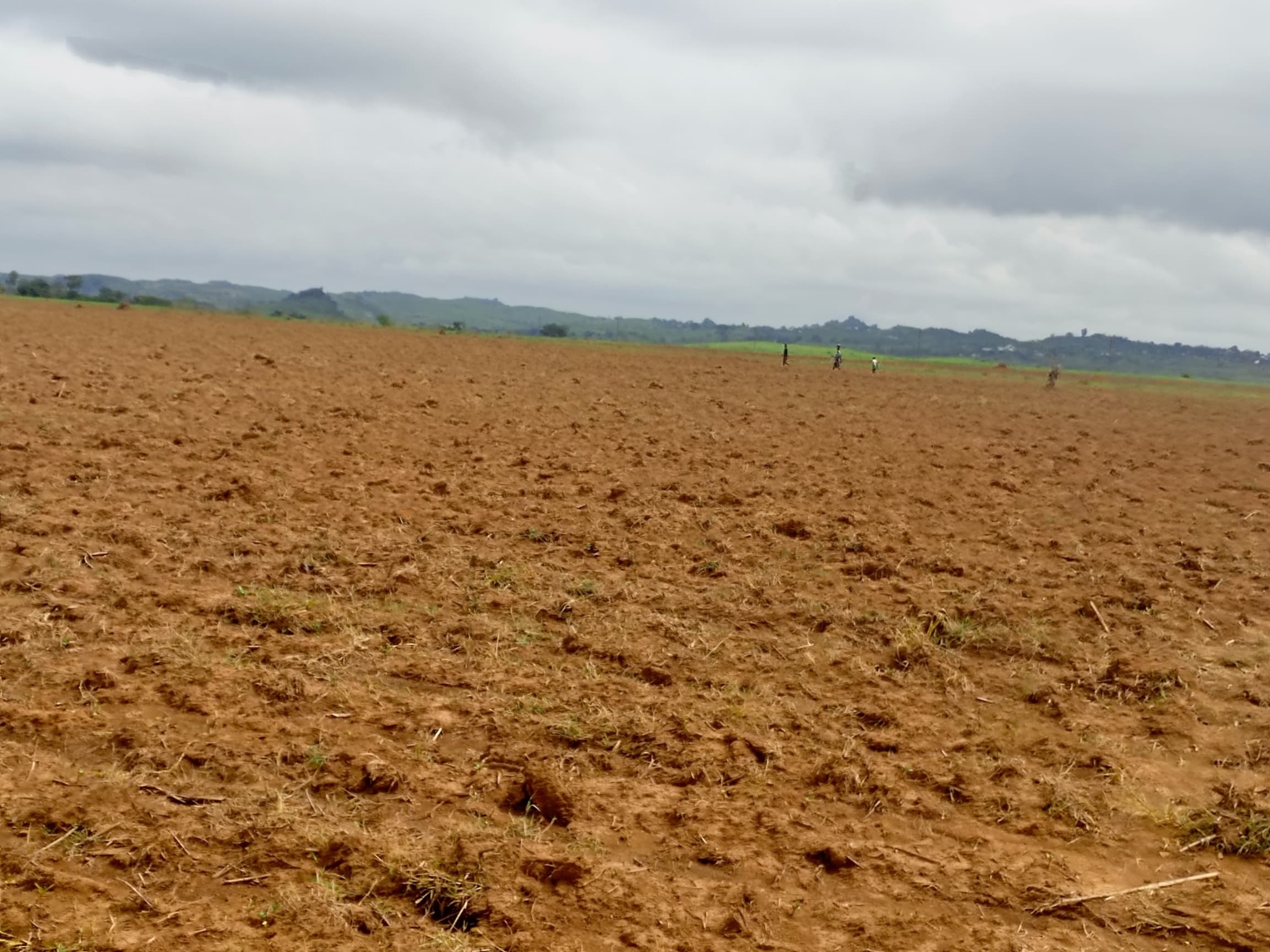 Food Security Projects