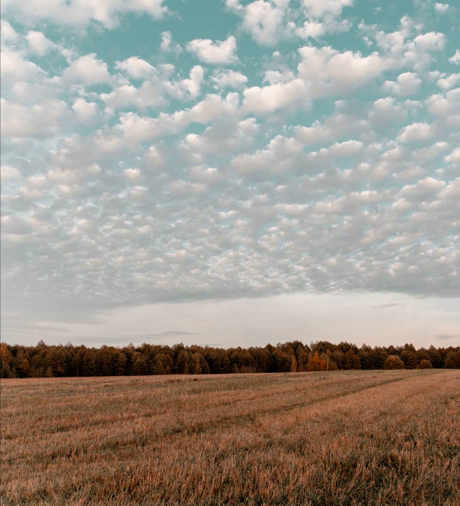 Crop diversity